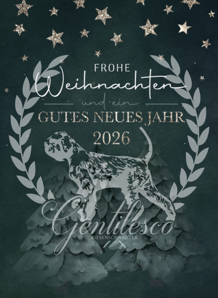 Grüße, Riesenschnauzer, Gentilesco